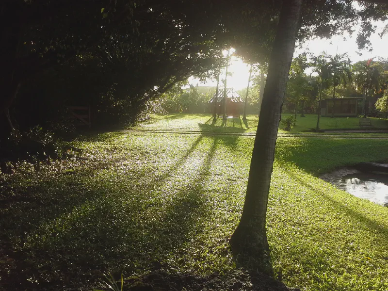 image from This Morning's View