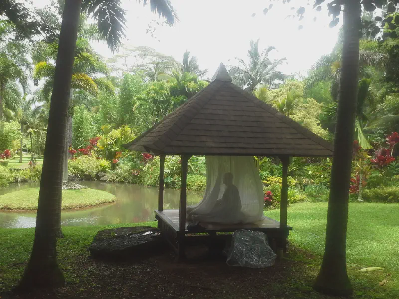 image from Where We Chant