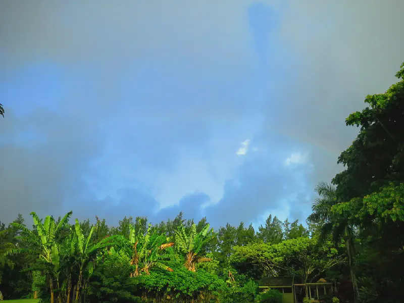 image from I forget how many rainbows I have seen this month. Maybe 7 or 8? This one was over our property. Today...