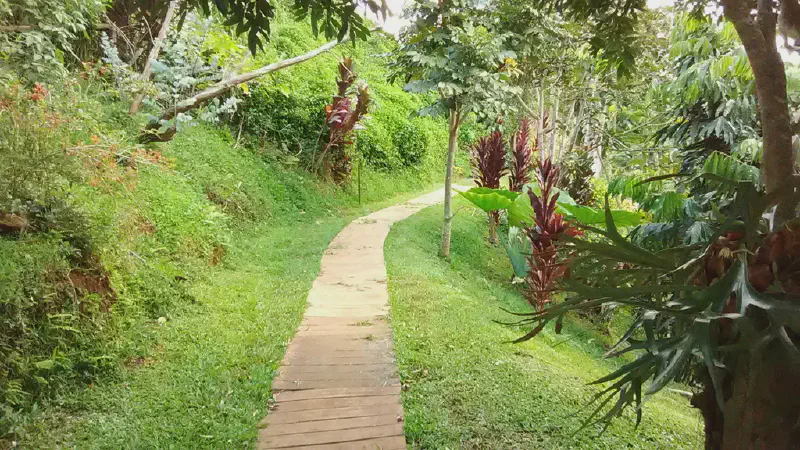 image from A Walk In The Gardens