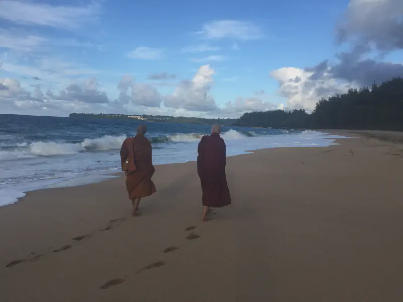 image from Lumaha'i Beach