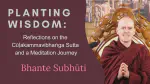 Planting Wisdom: Reflections on the Cūḷakammavibhaṅga Sutta and a Meditation Journey