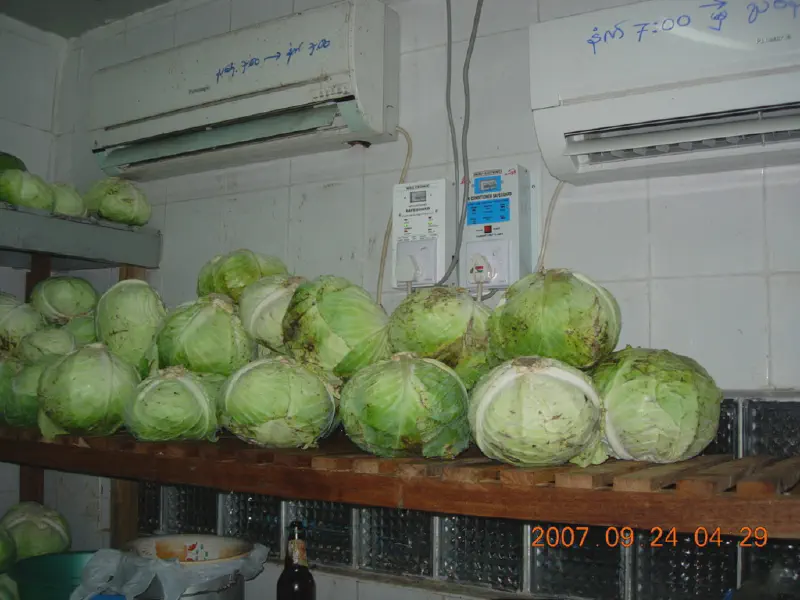 image from A Pa-Auk Walk-In Refrigerator