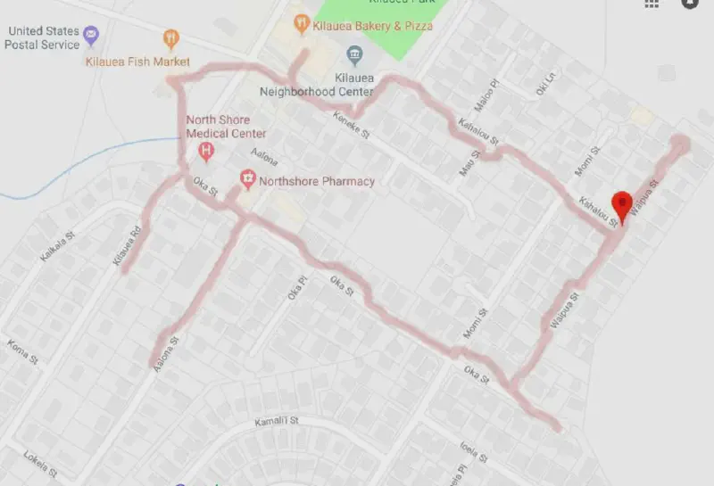 image from Results From Collecting Alms In Kauai