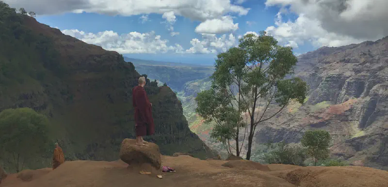 image from I went to Waimea canyon today