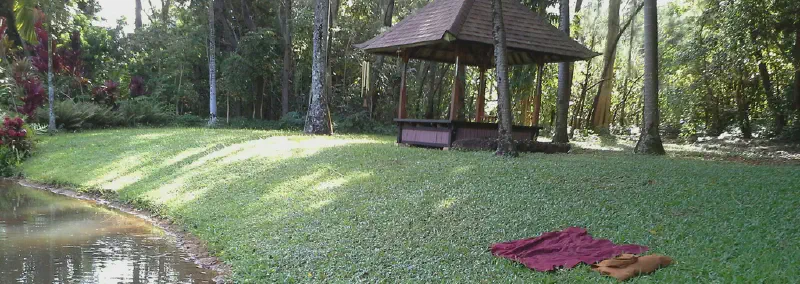 image from Inclination for Meditation