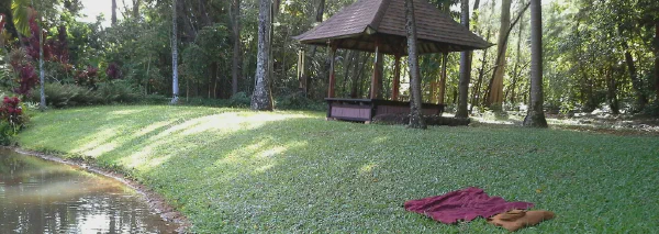 Inclination for Meditation