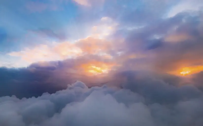 image from How To Be Human and Higher