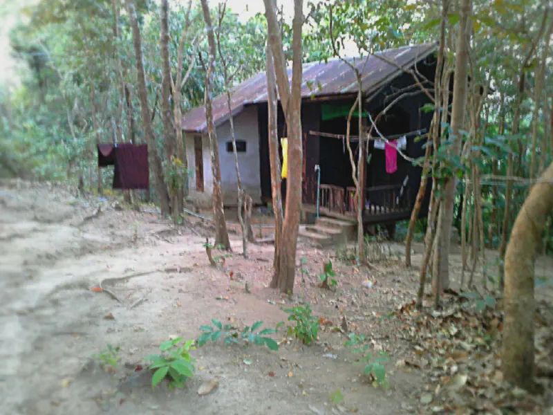 image from What is a Kuti?