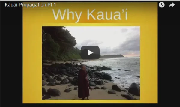Kauai Propagation Presentation