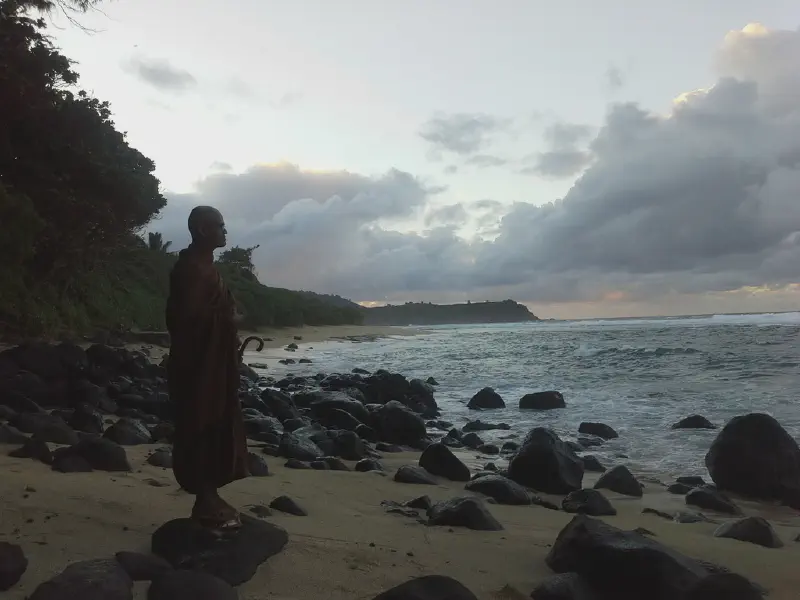 image from A new Spot