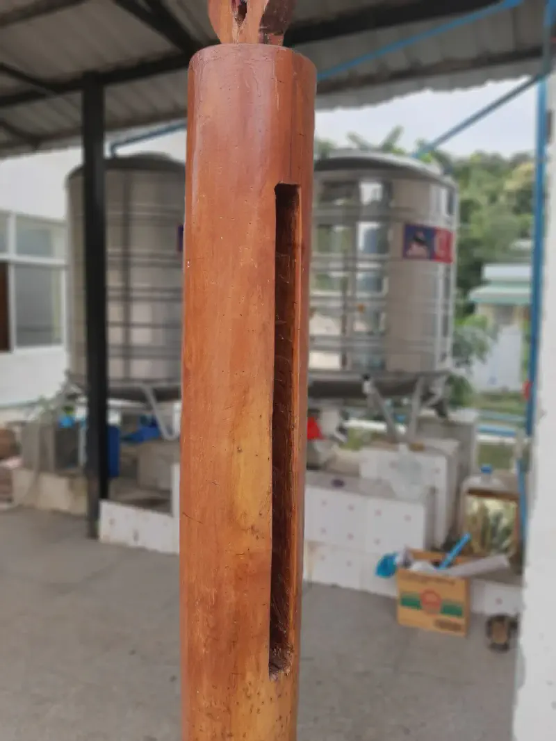 image from A Great Day, 2019