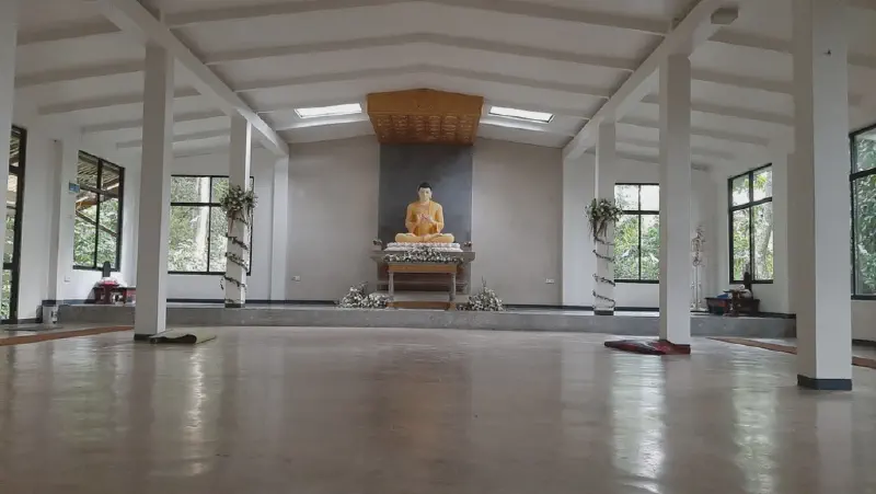 image from A Brief Stay At Spring Hill Forest Monastery