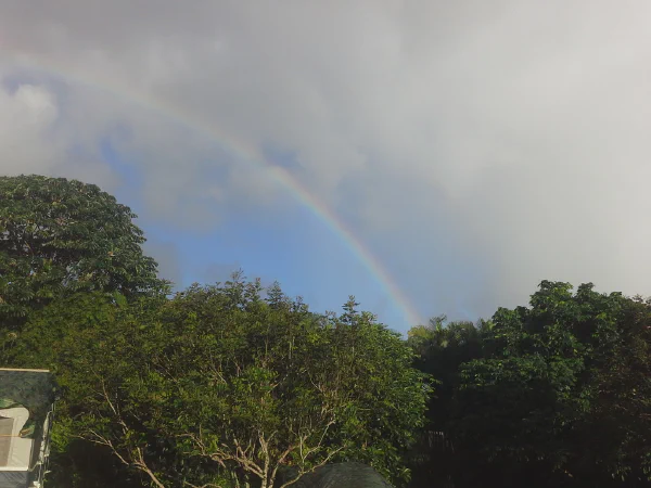 Kauai Update #2