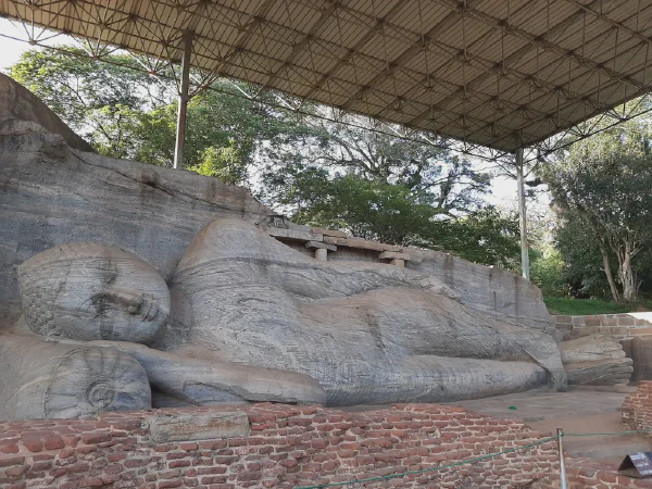 The Real Buddha Statues