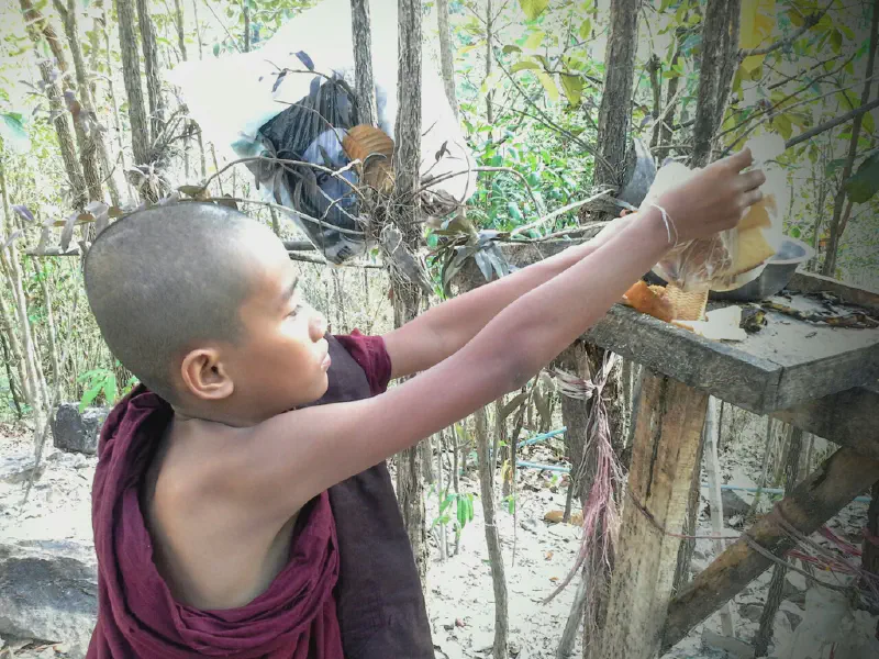 image from Sabbe Satta -All Beings