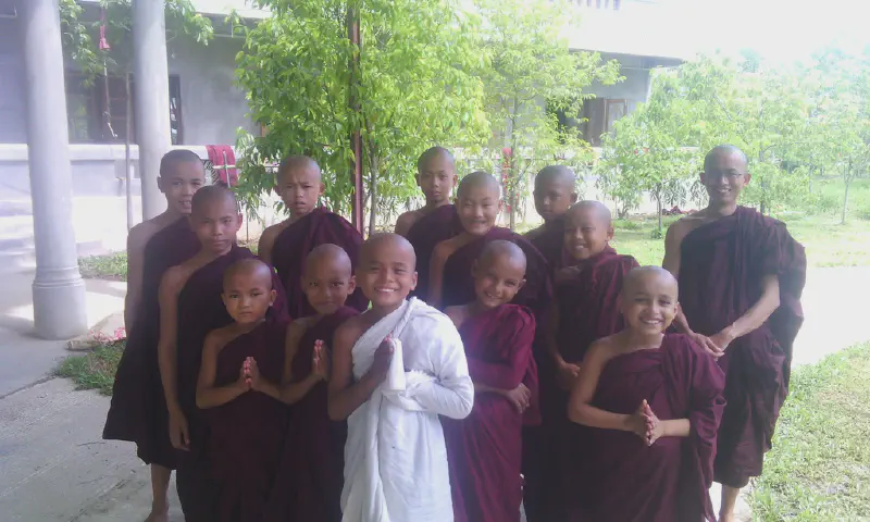 image from General Update Pre-Vassa 2017