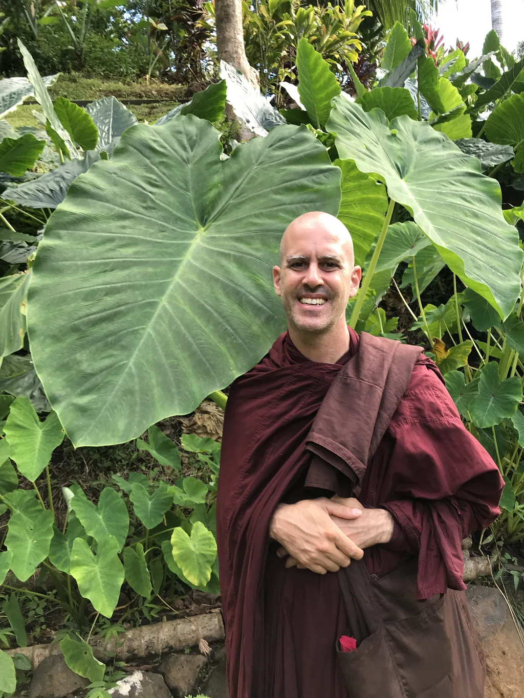 image from Kauai Monk Update 3