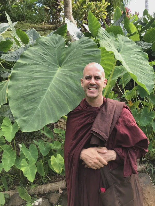 Kauai Monk Update 3
