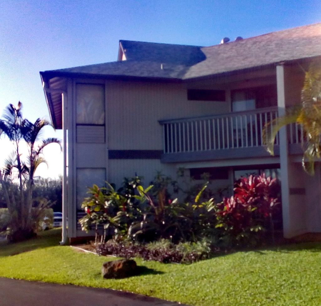 image from Kauai Update: Lihue