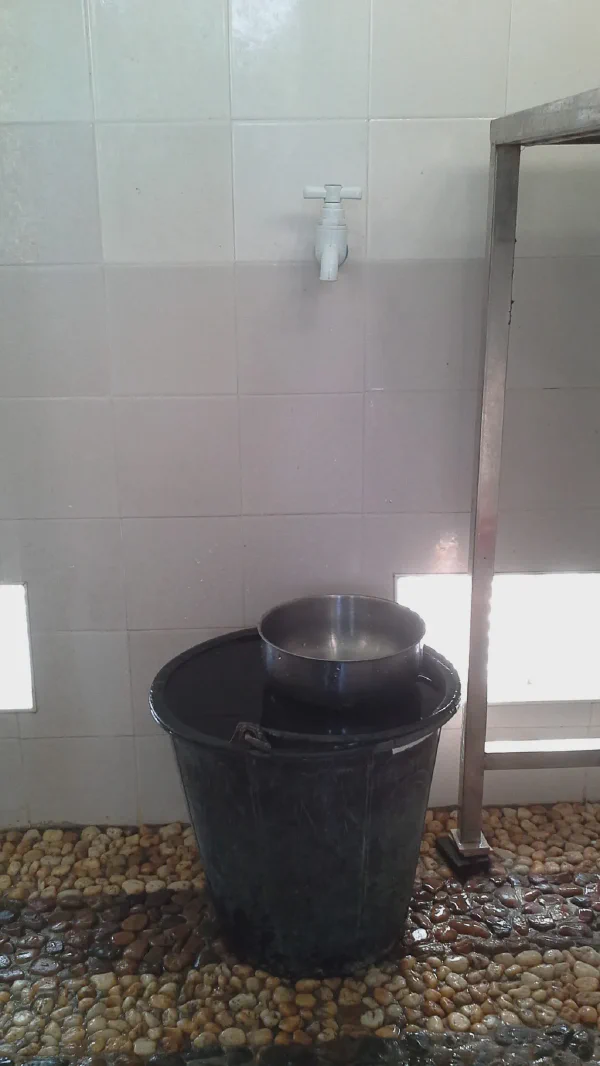For those of you who do not know what an Asian Shower is