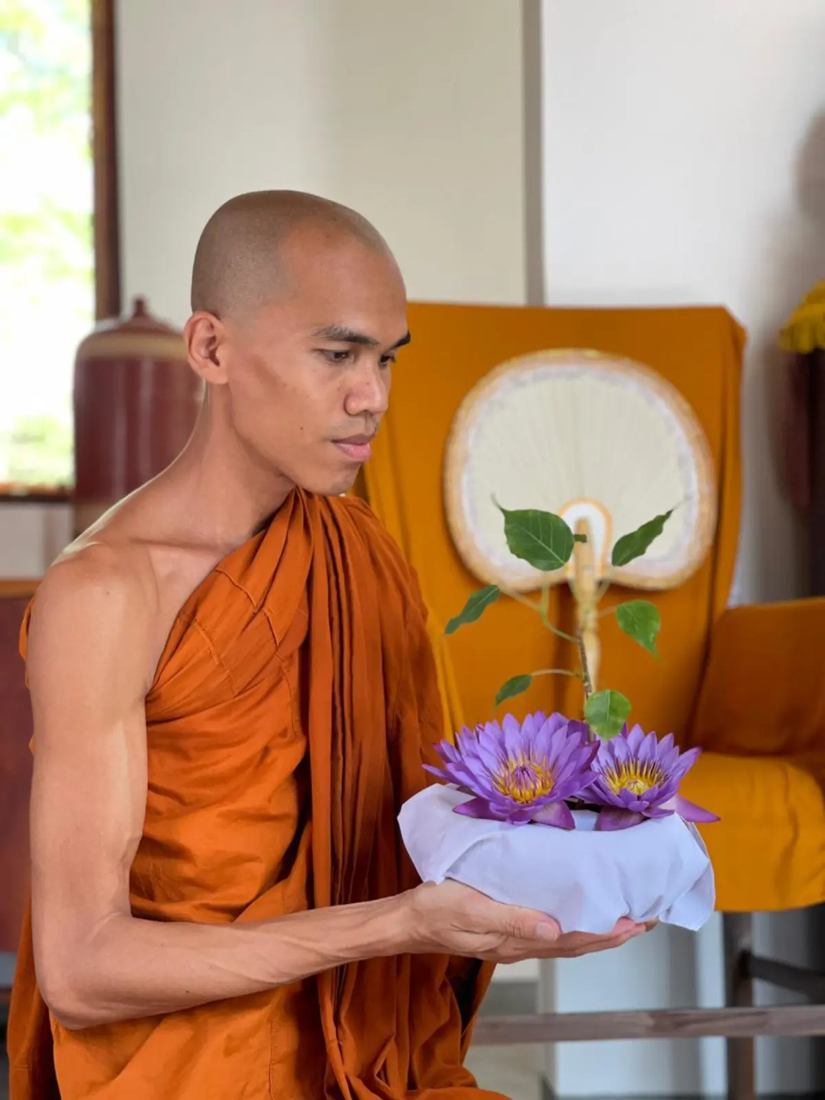 Venerable Indriyasamvaro will bring a seedling to Cambodia for Vesak, 2024