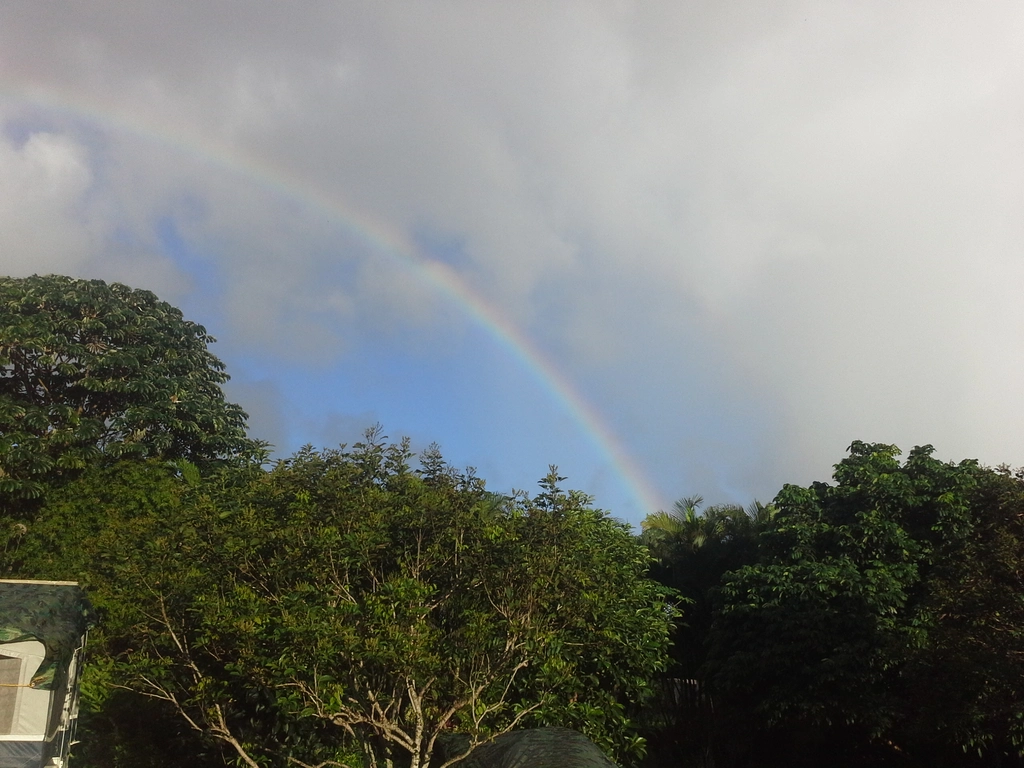 image from Kauai Update #2